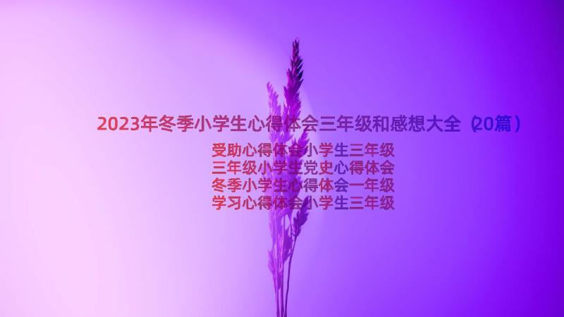 2023年冬季小学生心得体会三年级和感想大全（20篇）