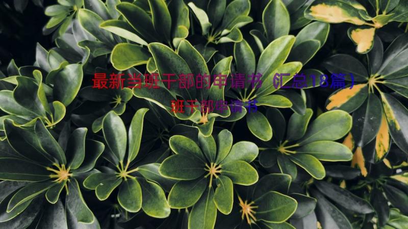 最新当班干部的申请书（汇总18篇）