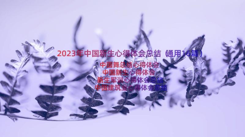 2023年中国新生心得体会总结（通用16篇）