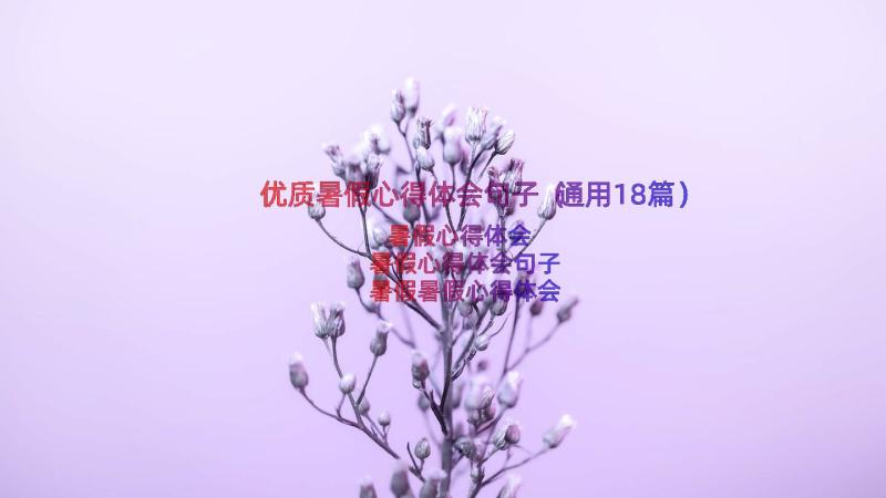 优质暑假心得体会句子（通用18篇）