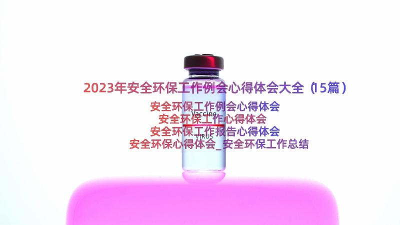 2023年安全环保工作例会心得体会大全（15篇）