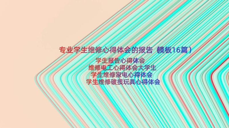 专业学生维修心得体会的报告（模板16篇）