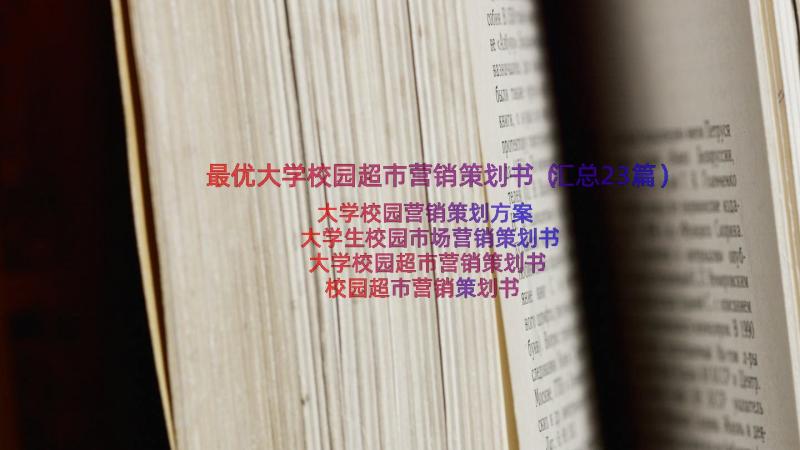 最优大学校园超市营销策划书（汇总23篇）