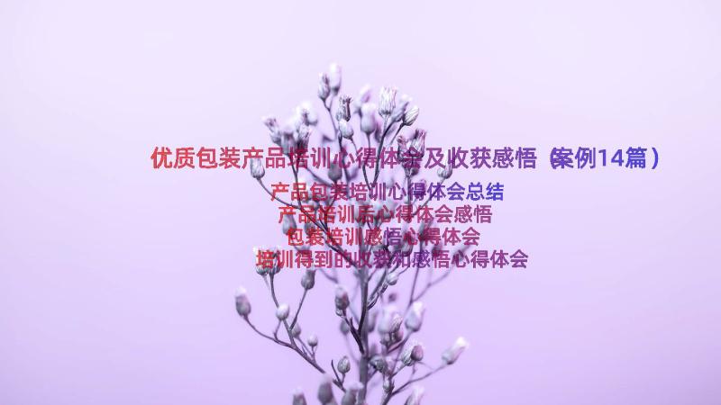 优质包装产品培训心得体会及收获感悟（案例14篇）