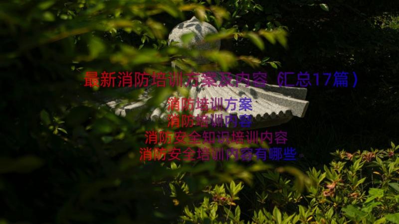 最新消防培训方案及内容（汇总17篇）