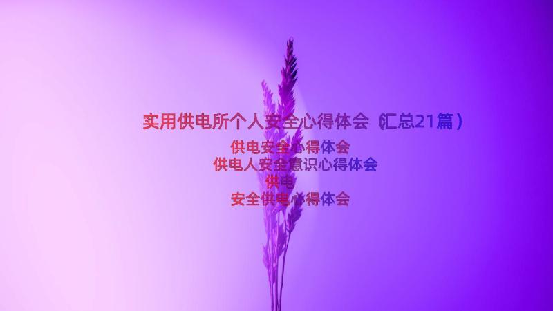 实用供电所个人安全心得体会（汇总21篇）