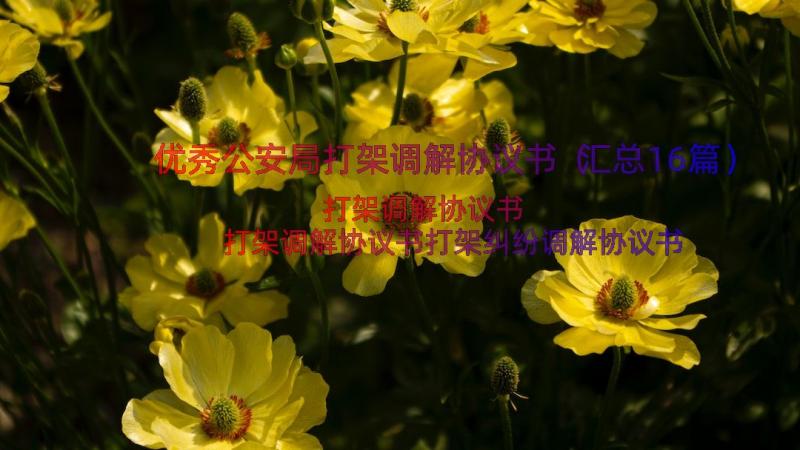 优秀公安局打架调解协议书（汇总16篇）