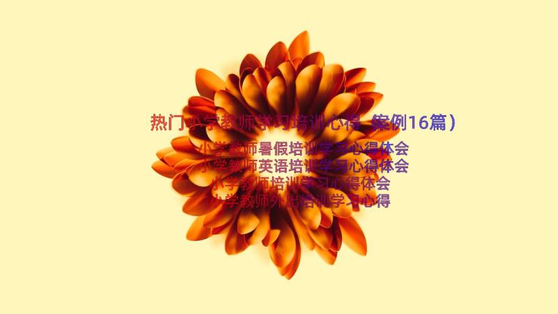 热门小学教师学习培训心得（案例16篇）