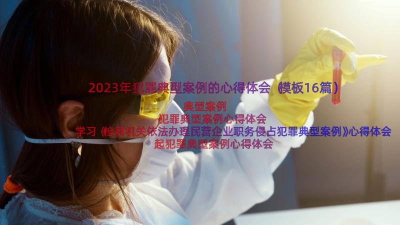 2023年犯罪典型案例的心得体会（模板16篇）