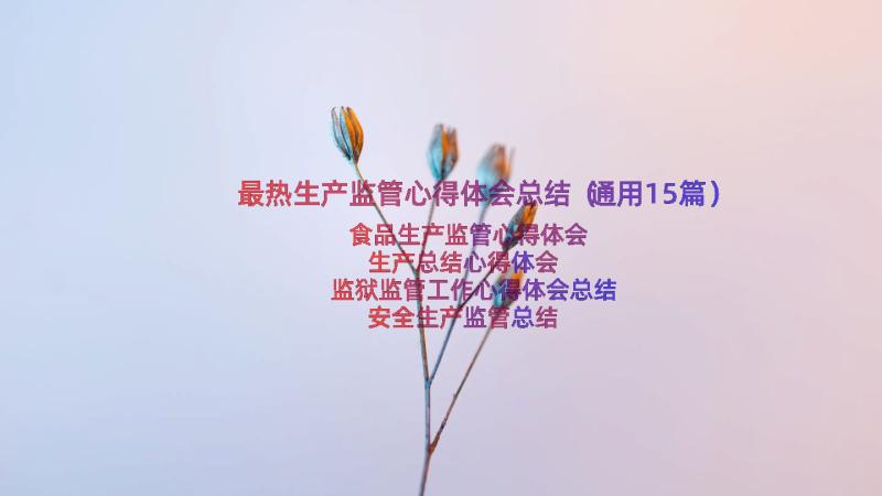 最热生产监管心得体会总结（通用15篇）