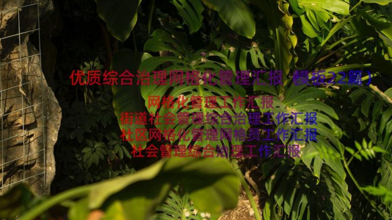 优质综合治理网格化管理汇报（模板22篇）