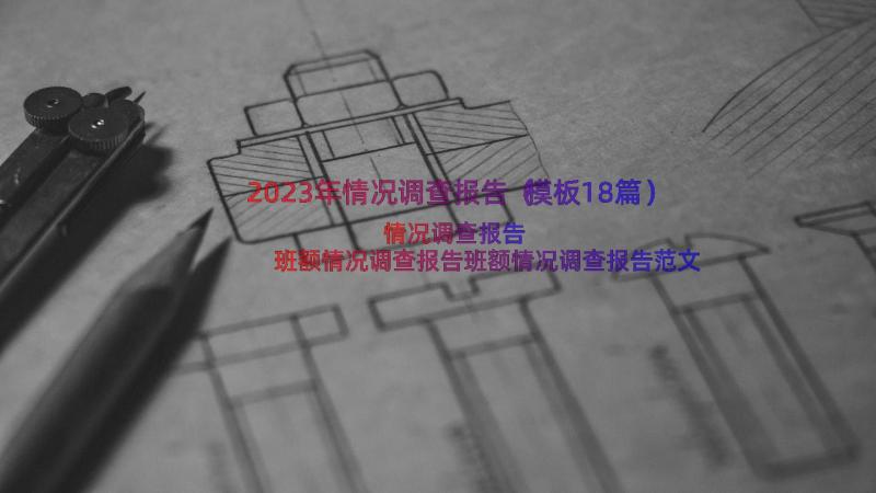 2023年情况调查报告（模板18篇）