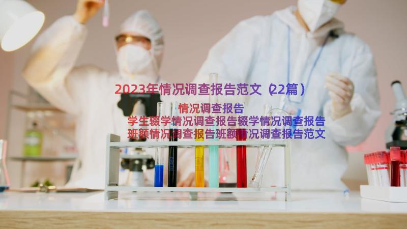 2023年情况调查报告范文（22篇）