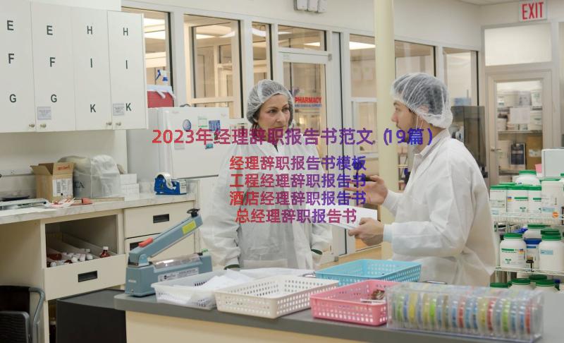 2023年经理辞职报告书范文（19篇）