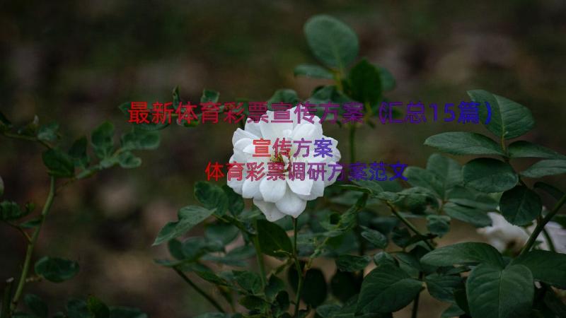 最新体育彩票宣传方案（汇总15篇）