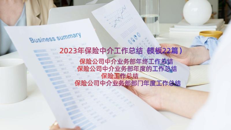 2023年保险中介工作总结（模板22篇）