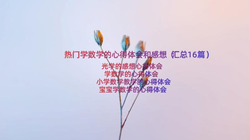 热门学数学的心得体会和感想（汇总16篇）