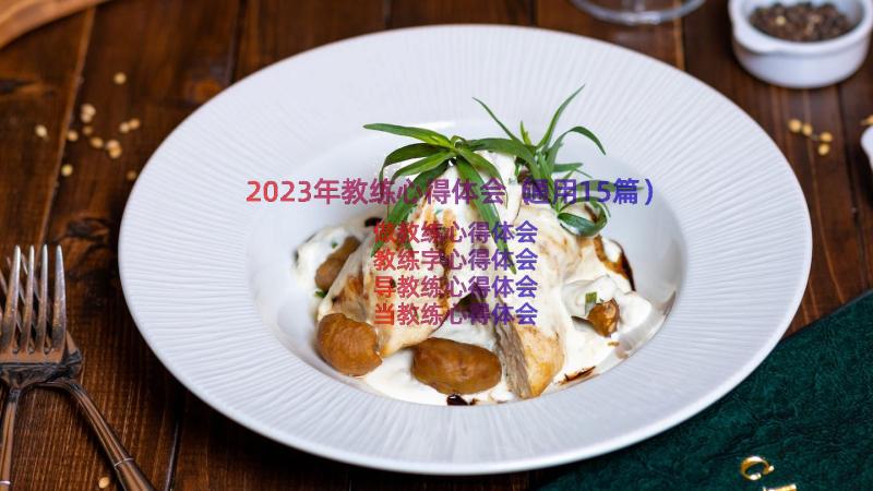 2023年教练心得体会（通用15篇）