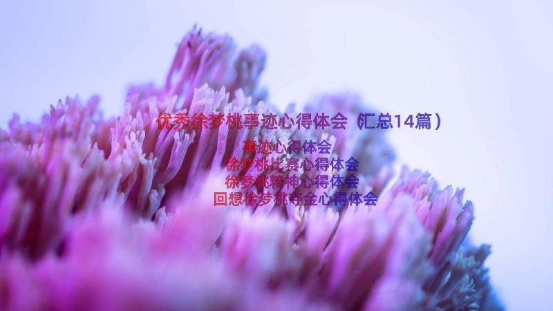 优秀徐梦桃事迹心得体会（汇总14篇）