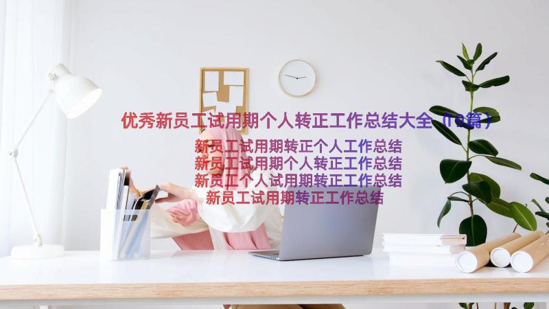 优秀新员工试用期个人转正工作总结大全（19篇）