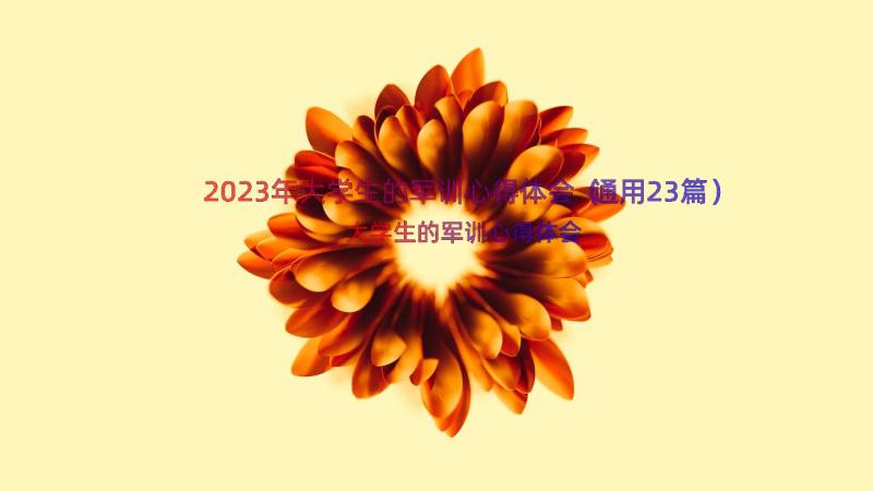 2023年大学生的军训心得体会（通用23篇）