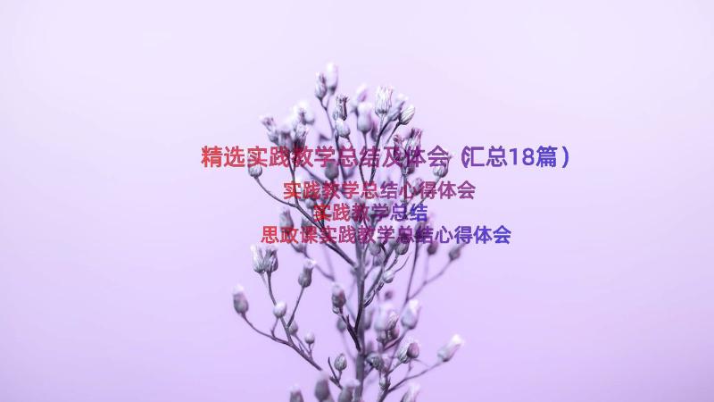 精选实践教学总结及体会（汇总18篇）