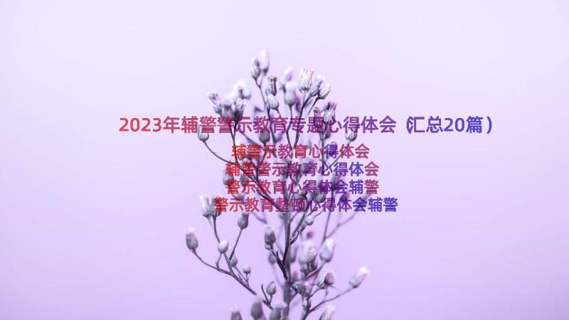 2023年辅警警示教育专题心得体会（汇总20篇）