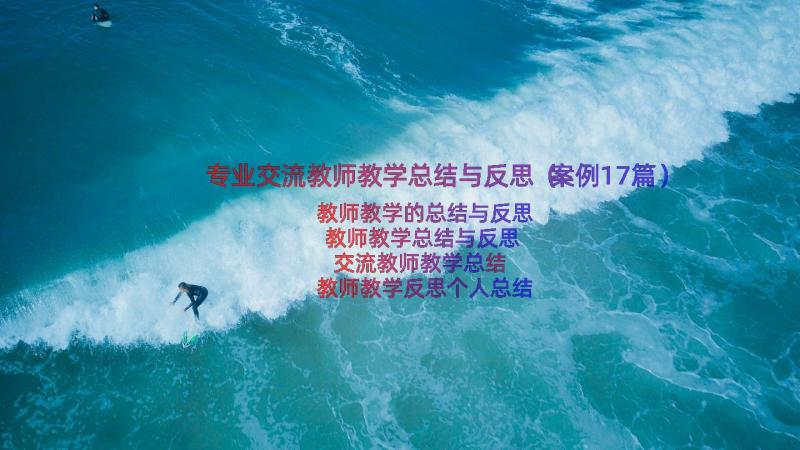 专业交流教师教学总结与反思（案例17篇）