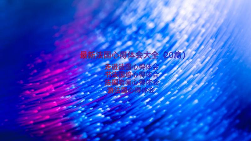 最新法国心得体会大全（20篇）