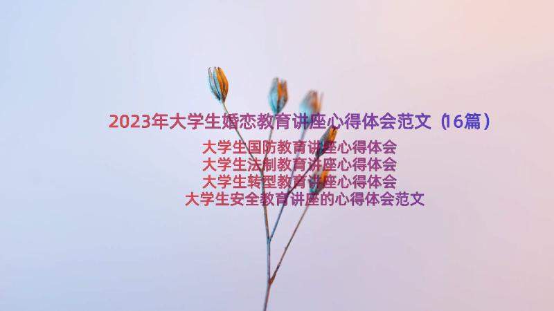 2023年大学生婚恋教育讲座心得体会范文（16篇）