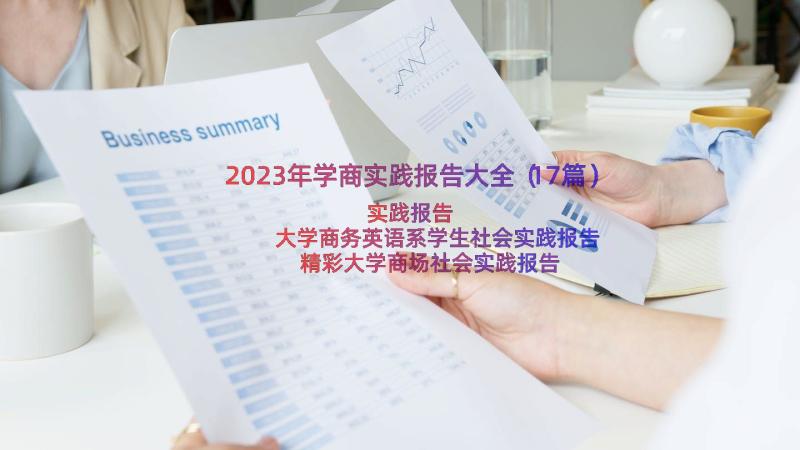 2023年学商实践报告大全（17篇）