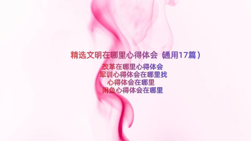 精选文明在哪里心得体会（通用17篇）