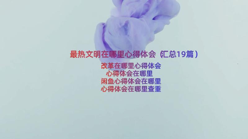 最热文明在哪里心得体会（汇总19篇）