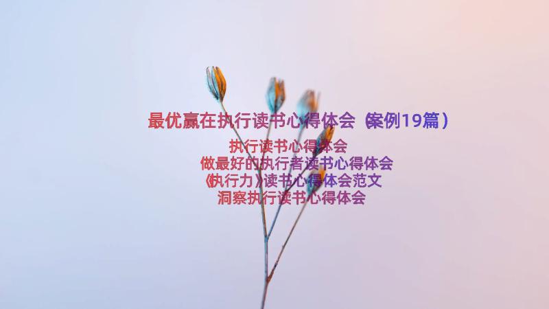 最优赢在执行读书心得体会（案例19篇）