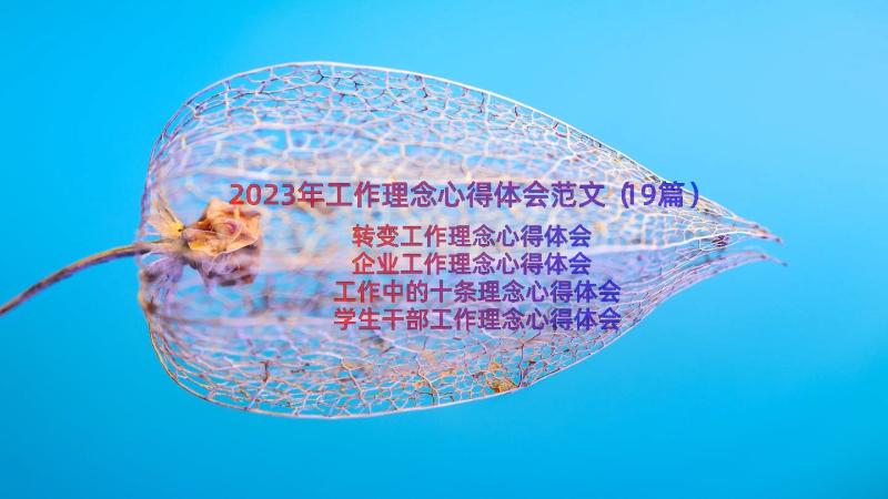 2023年工作理念心得体会范文（19篇）