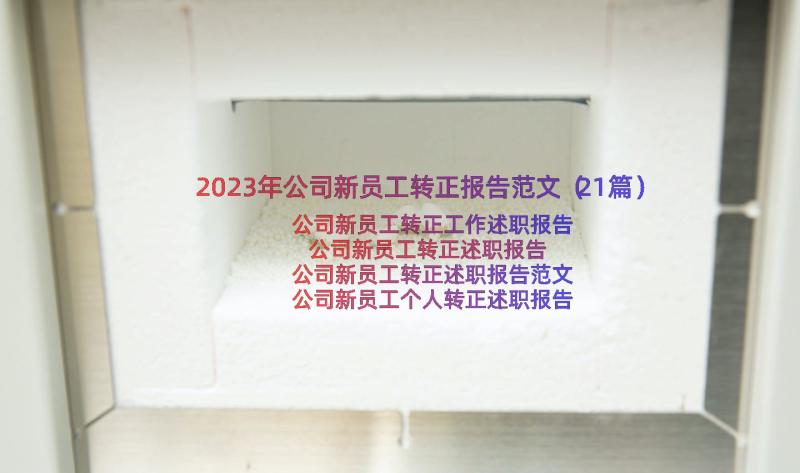 2023年公司新员工转正报告范文（21篇）