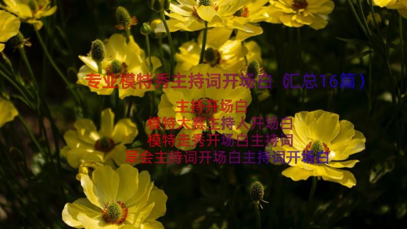 专业模特秀主持词开场白（汇总16篇）