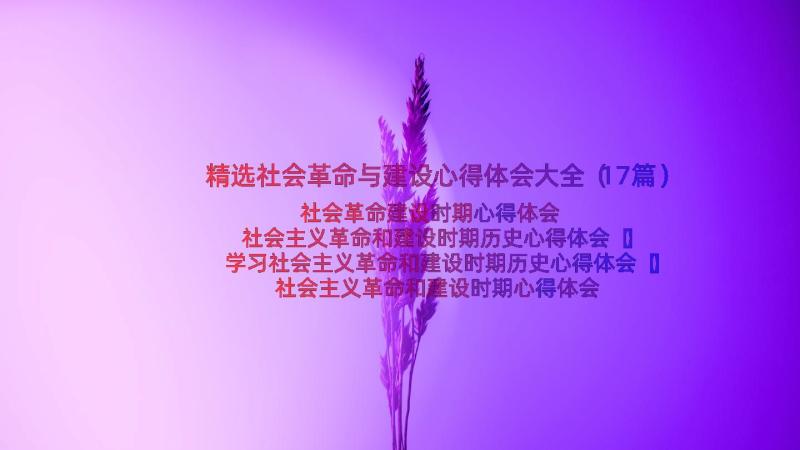 精选社会革命与建设心得体会大全（17篇）