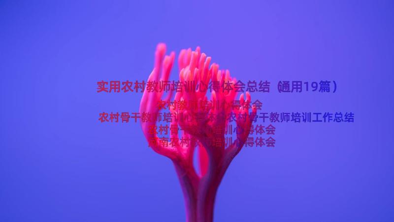 实用农村教师培训心得体会总结（通用19篇）