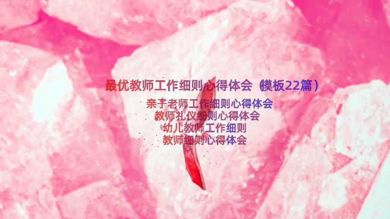 最优教师工作细则心得体会（模板22篇）