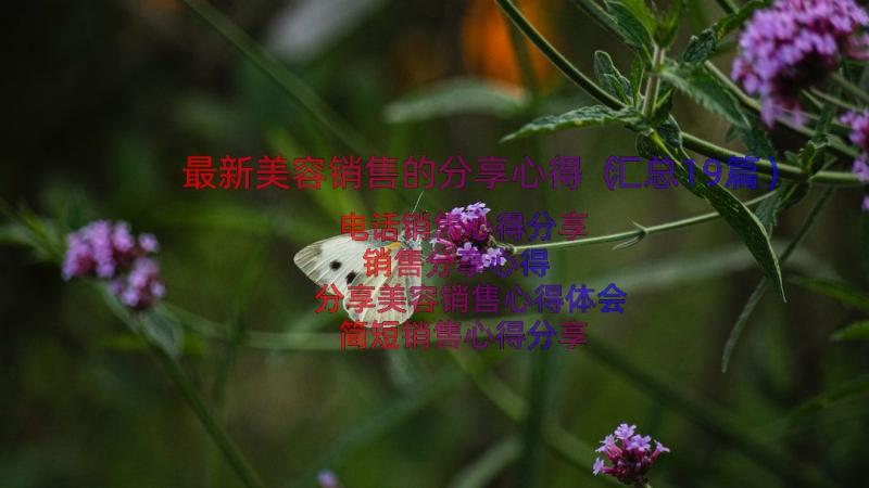 最新美容销售的分享心得（汇总19篇）