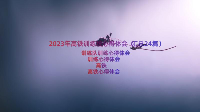 2023年高铁训练段心得体会（汇总24篇）