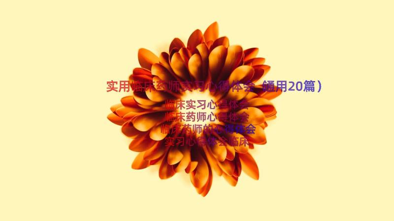 实用临床药师实习心得体会（通用20篇）