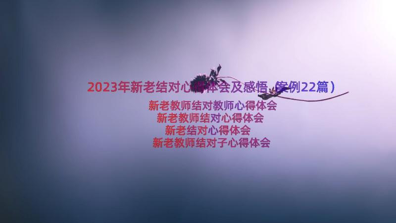 2023年新老结对心得体会及感悟（案例22篇）