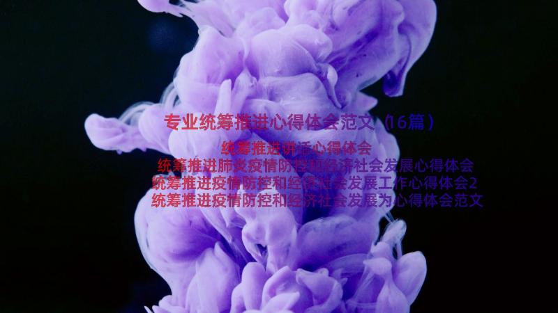 专业统筹推进心得体会范文（16篇）