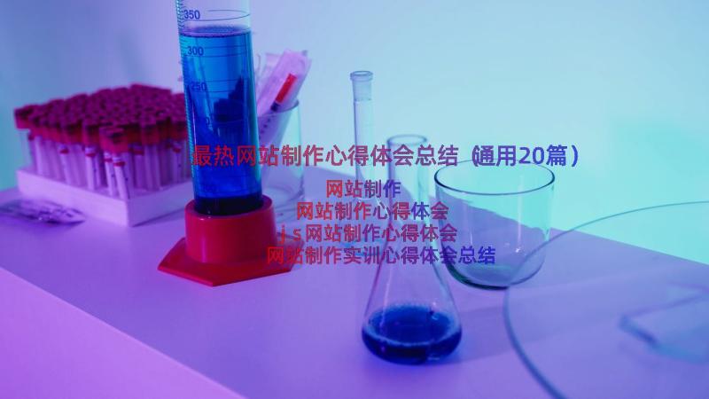 最热网站制作心得体会总结（通用20篇）