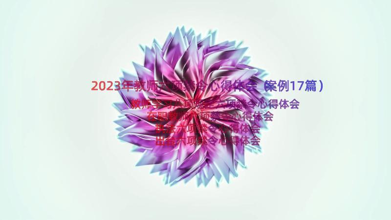 2023年教师六项禁令心得体会（案例17篇）