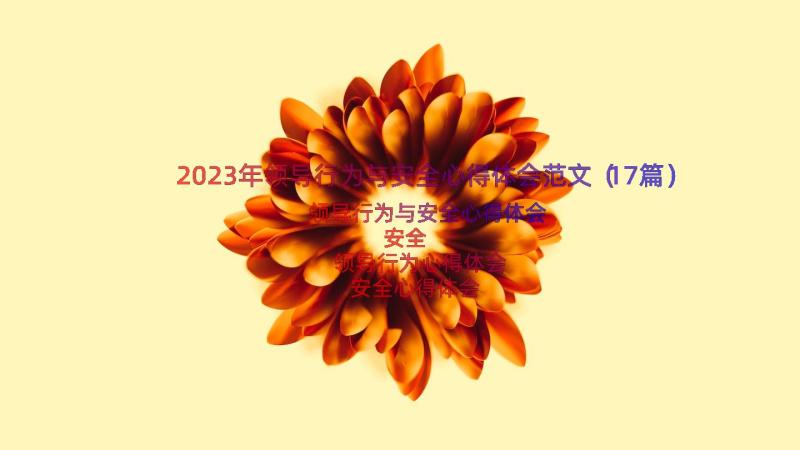 2023年领导行为与安全心得体会范文（17篇）