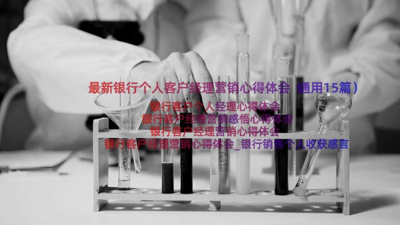 最新银行个人客户经理营销心得体会（通用15篇）