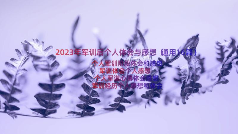 2023年军训后个人体会与感想（通用16篇）